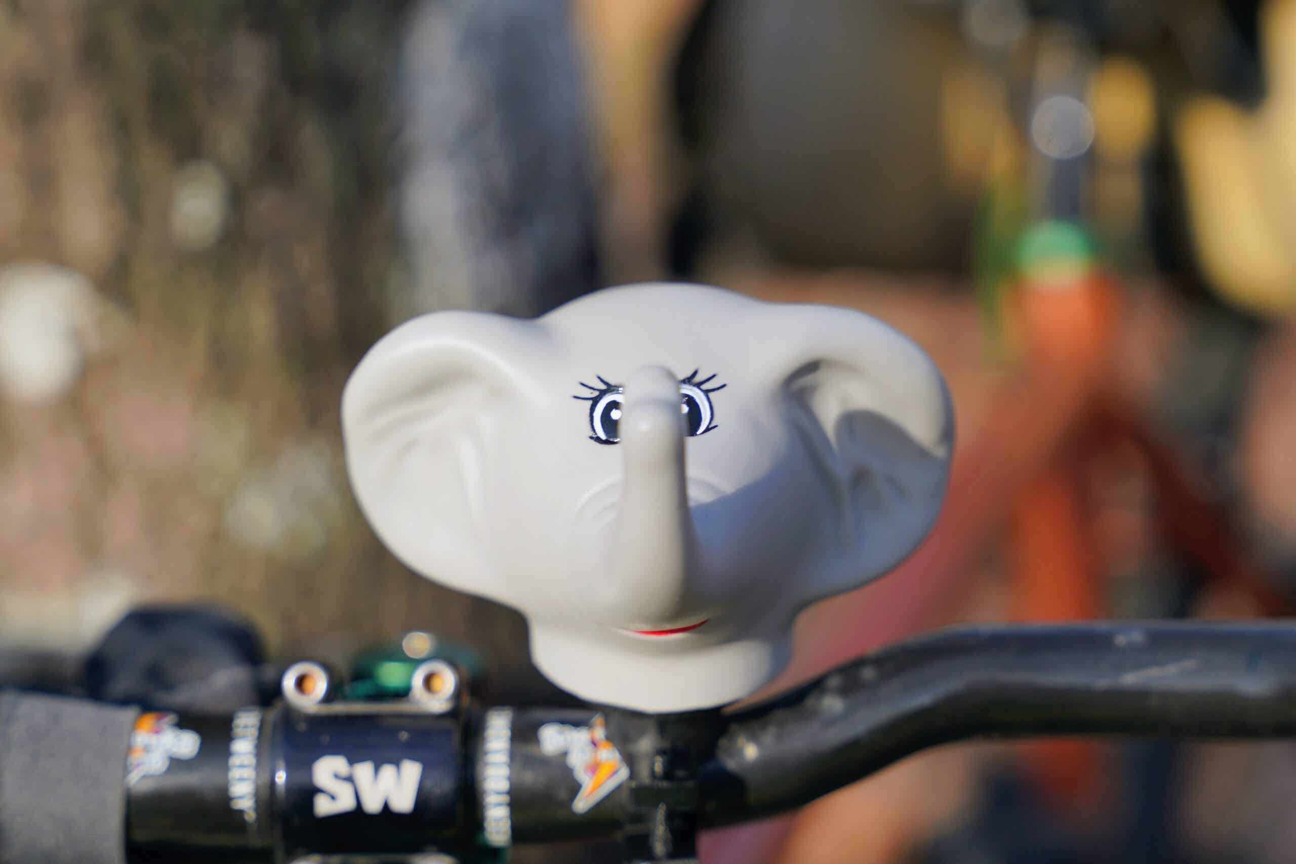 プカプカ ホーン ゾウを正面から見た様子