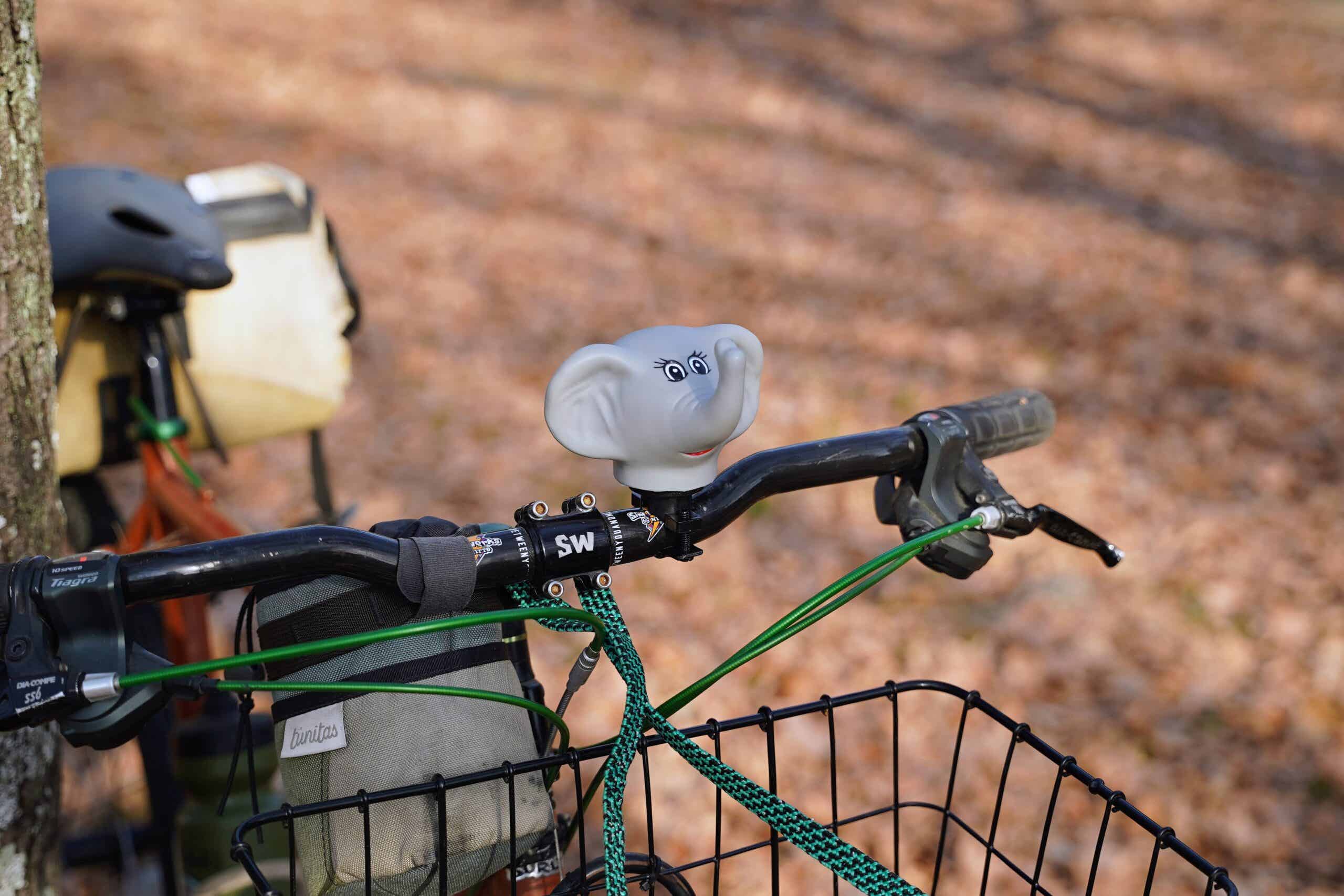 プカプカ ホーン ゾウを遠目から見た様子