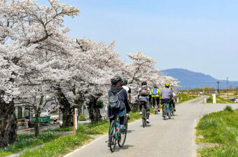 【山形・置賜】桜の名所を自転車でのんびり巡るツアーが4月開催。レンタサイクル付きで手ぶら参加もOK