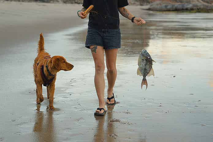 海辺で釣りをする女性と犬