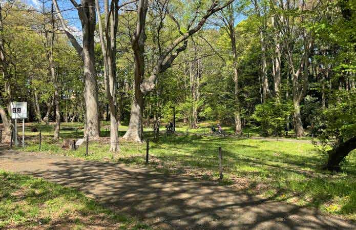 代々木公園サイクリングコースの風景