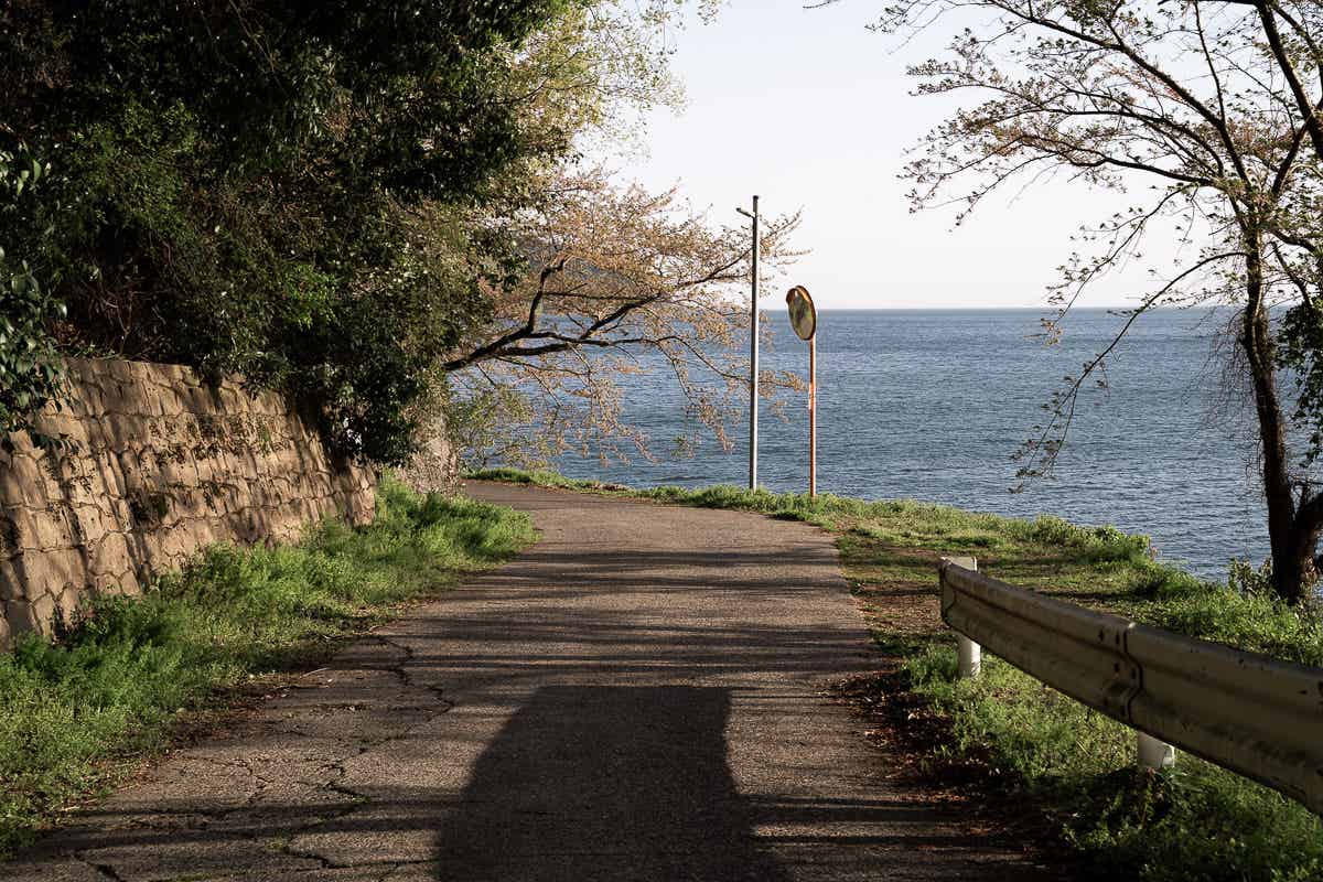 琵琶湖沿いの道