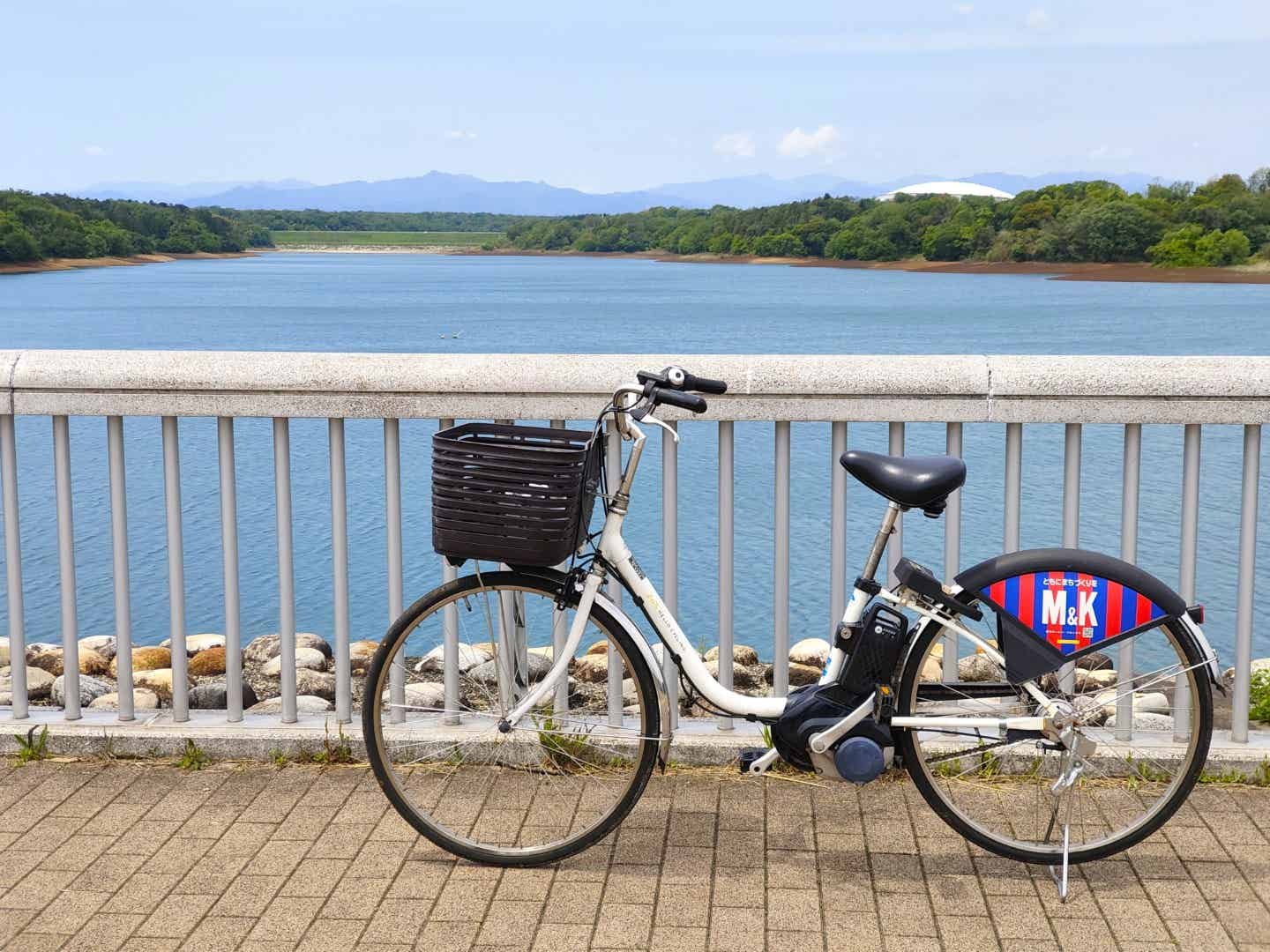 多摩湖の向こうに見えるベルーナドーム
