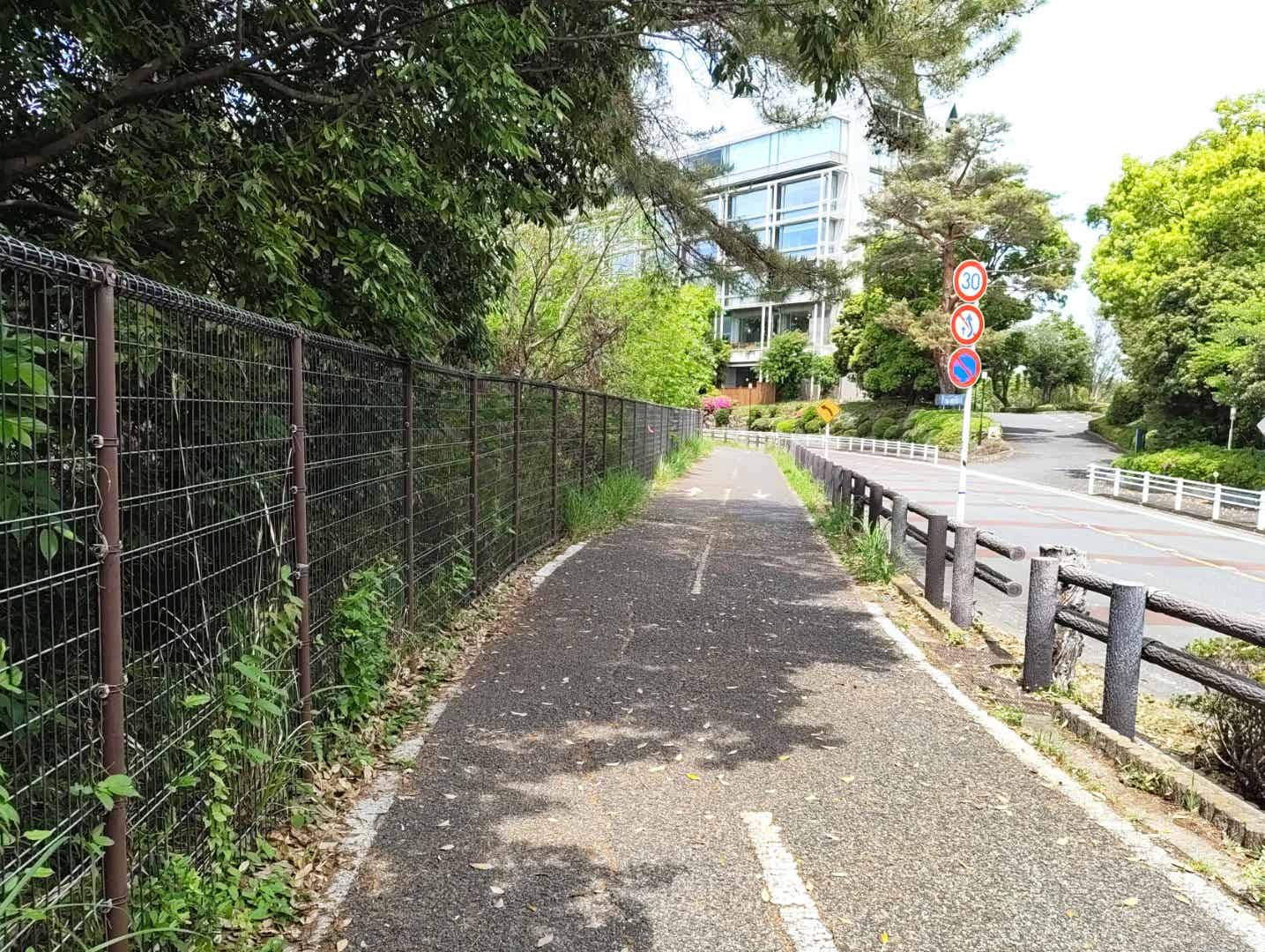 多摩湖のサイクリングロード