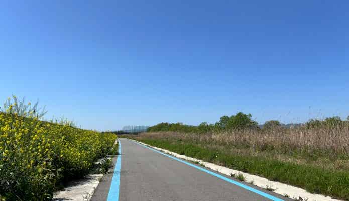 紀の川サイクリングロードの路面