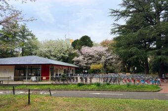 【実走レポート】東京のど真ん中で緑の風を感じる。代々木公園でレンタサイクルを楽しもう