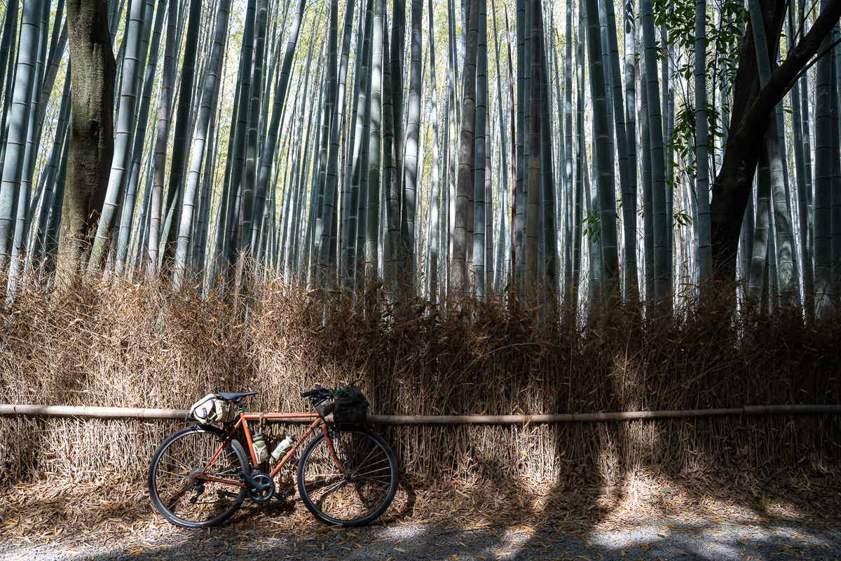 嵯峨野 竹林の小径