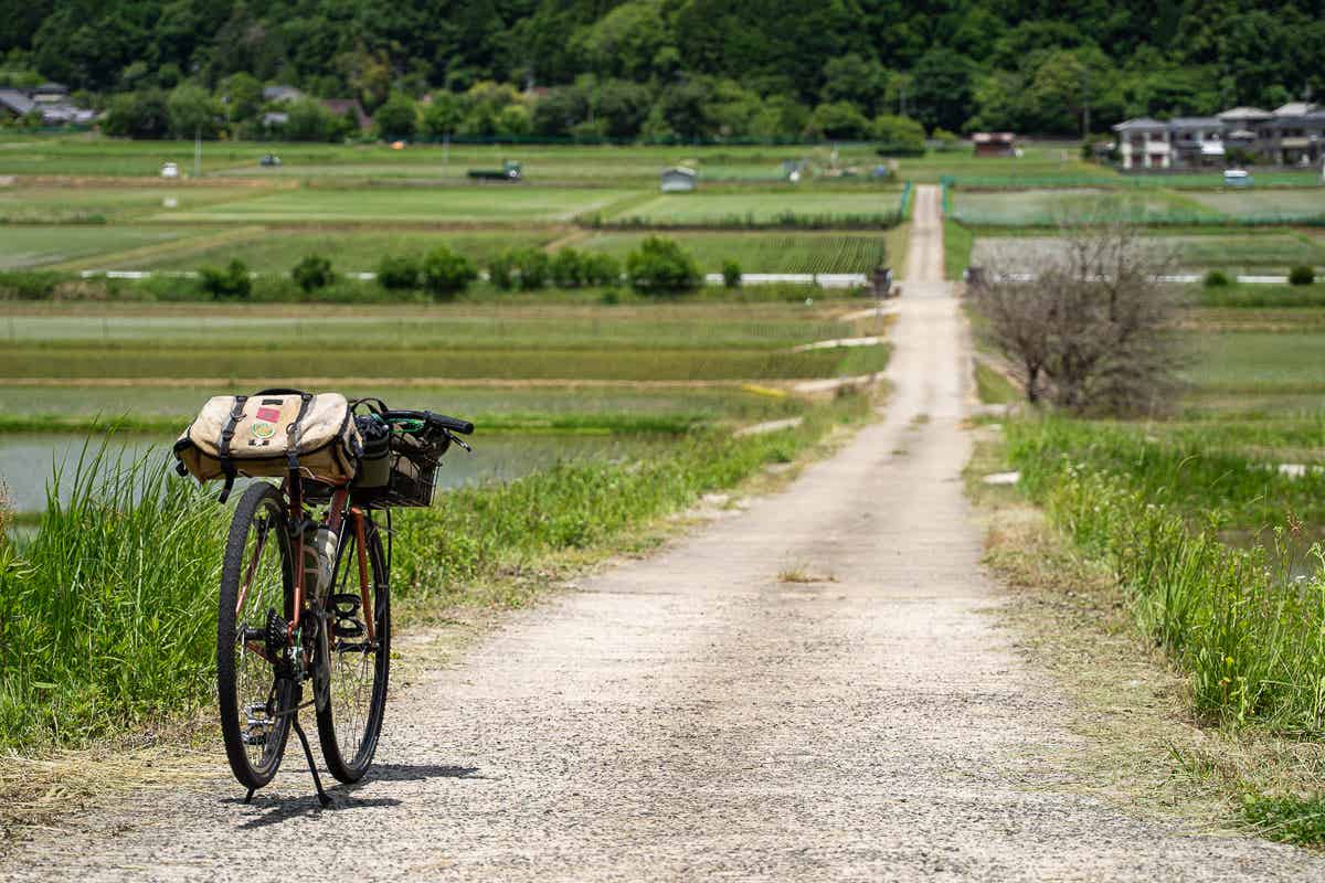 田んぼ道と自転車
