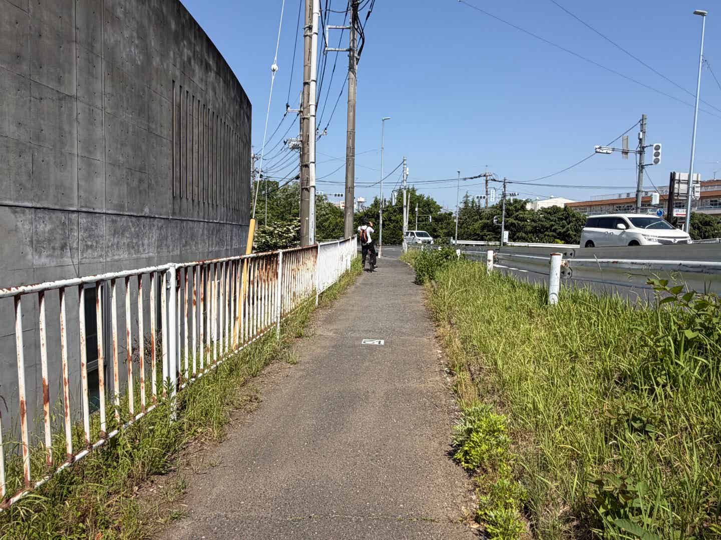 入間川サイクリングロードの信号