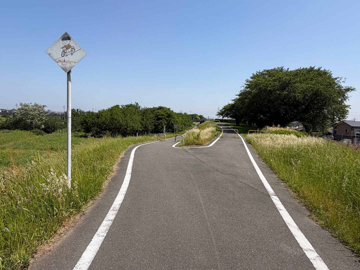 入間川サイクリングロードの分岐