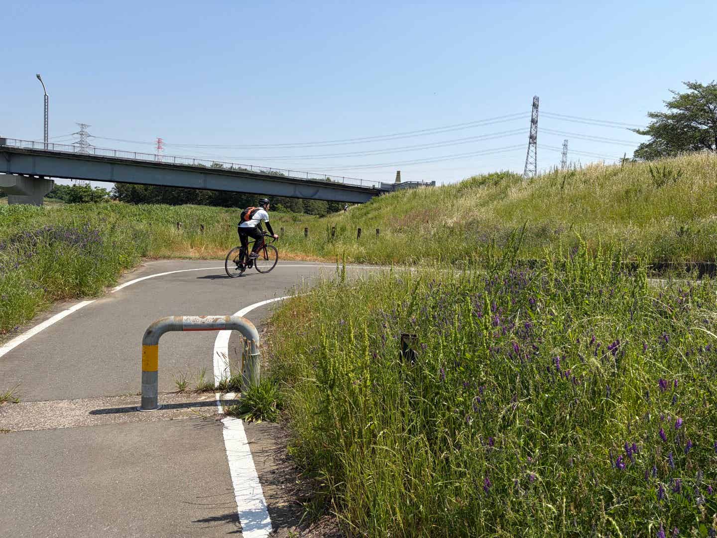 入間川サイクリングロードのカーブ