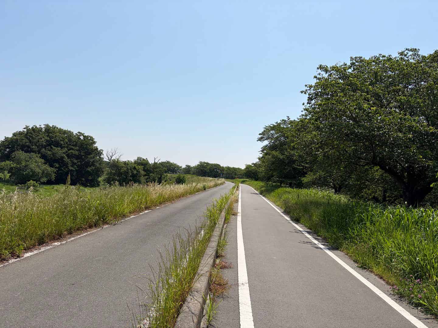 入間川サイクリングロードの車道との並走区間