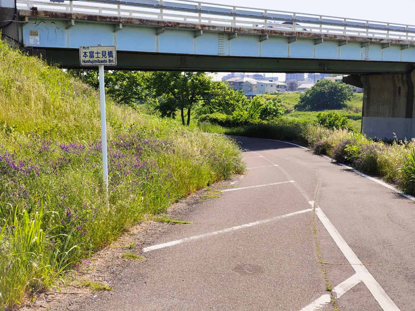 入間川サイクリングロードの本富士見橋