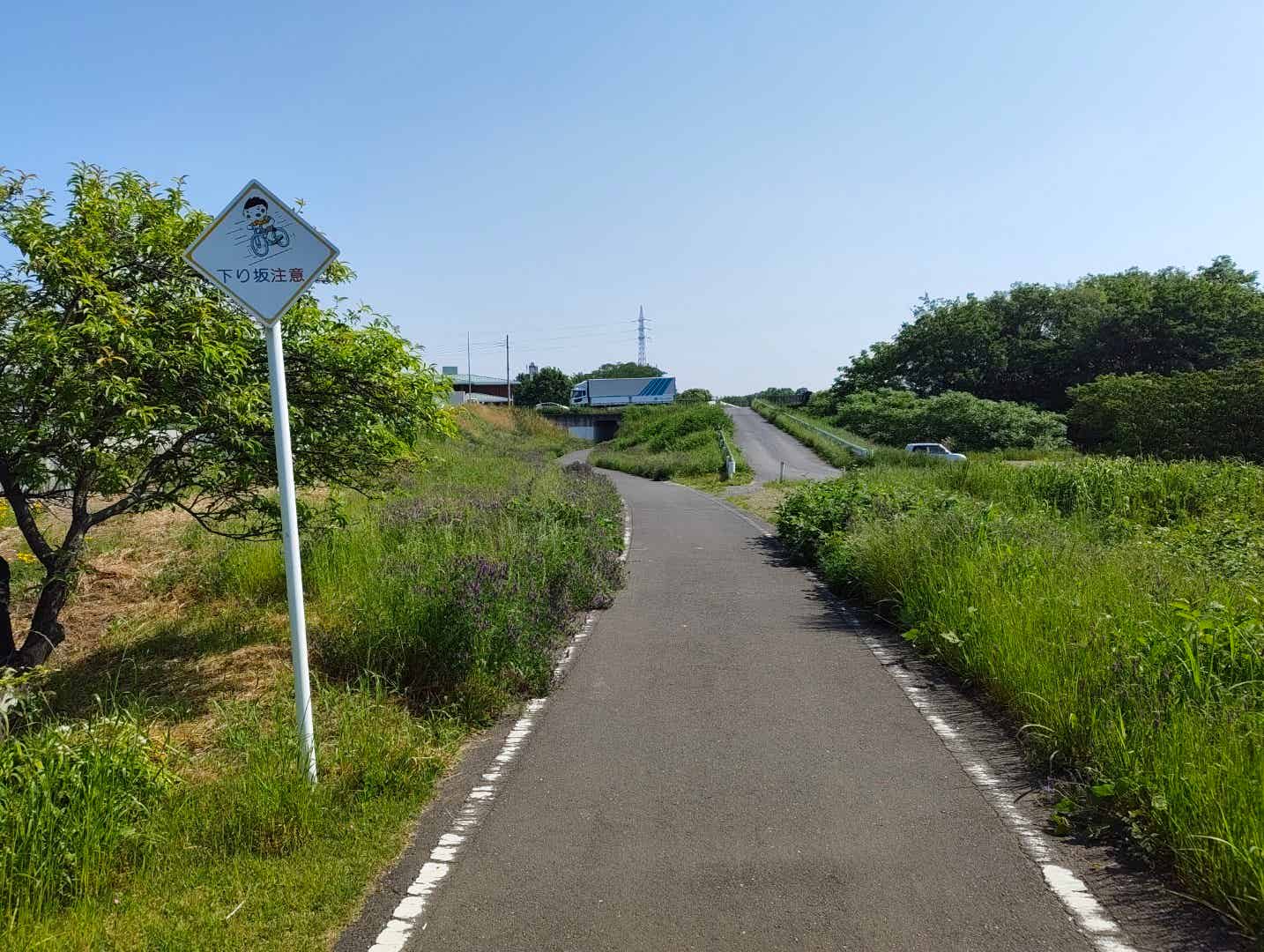 入間川サイクリングロードの入間川大橋