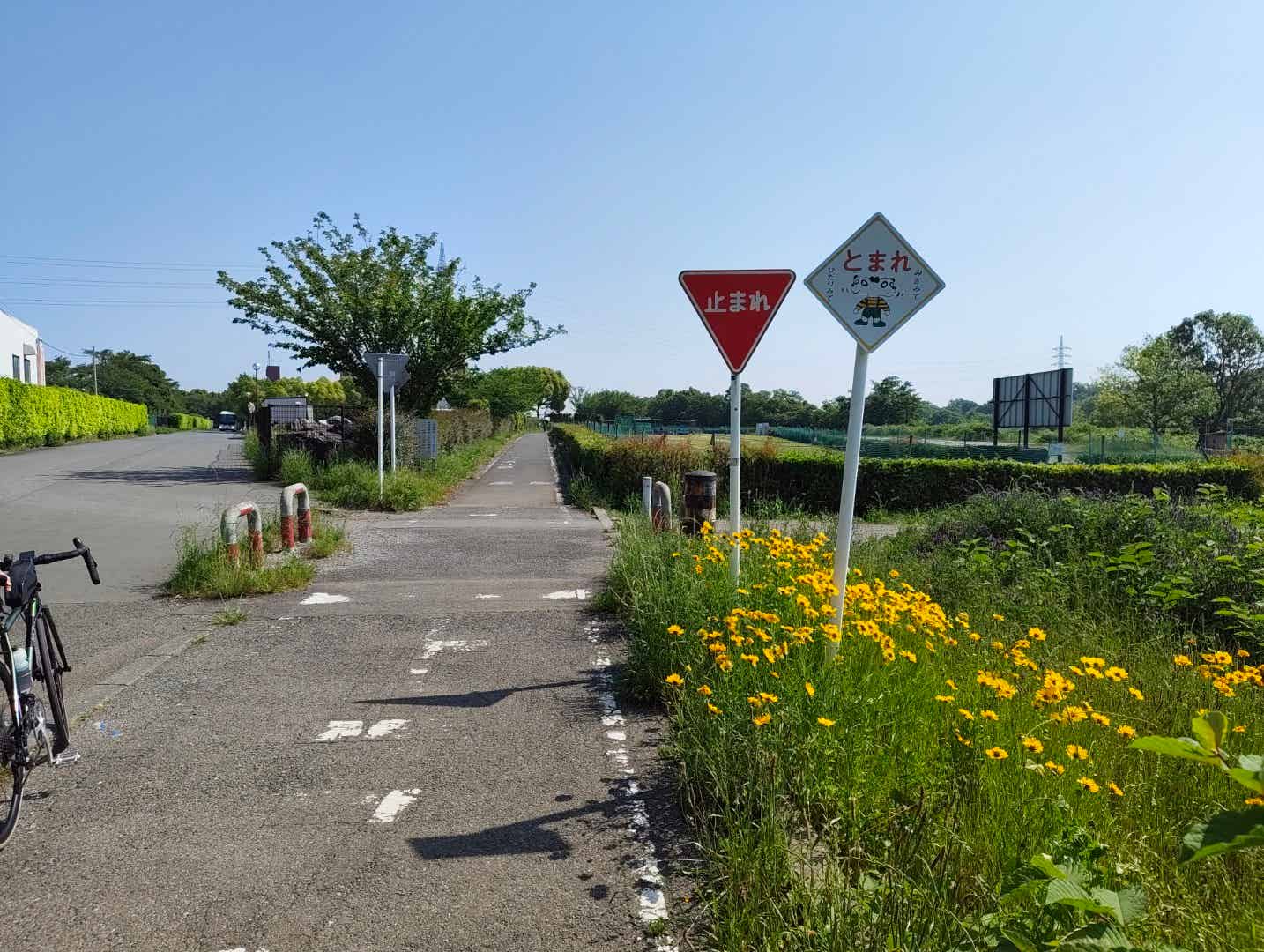 入間川サイクリングロードの止まれの看板