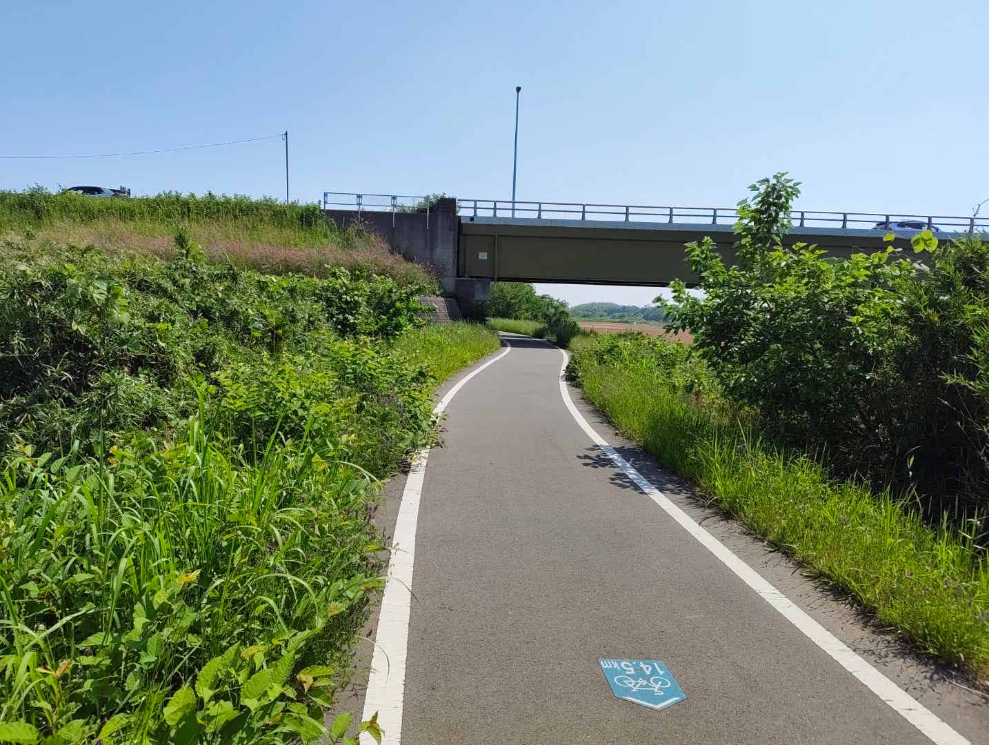入間川サイクリングロードの路面標識　