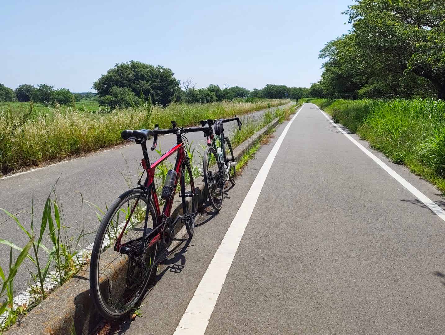 入間川サイクリングロードとロードバイク