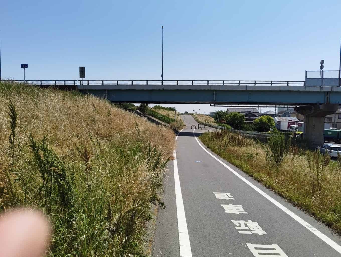 入間川サイクリングロードの釘無橋
