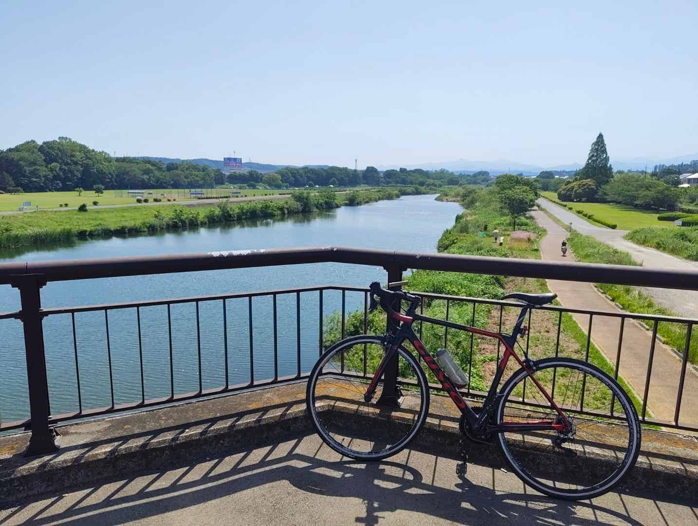 入間川サイクリングロードの豊水橋からの景色