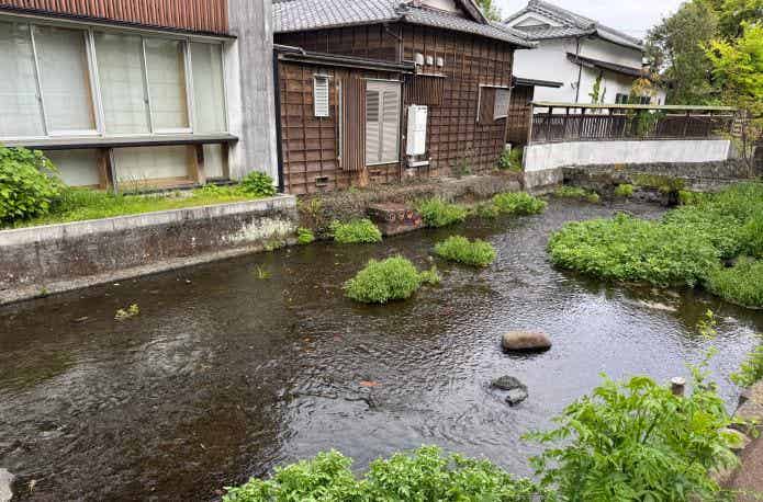 源兵衛川沿いの家々