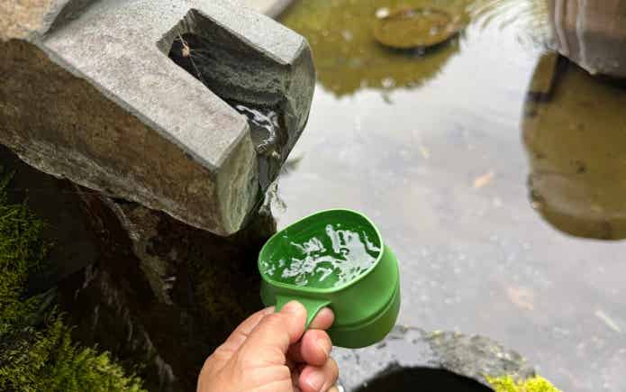 柿田川公園の湧き水