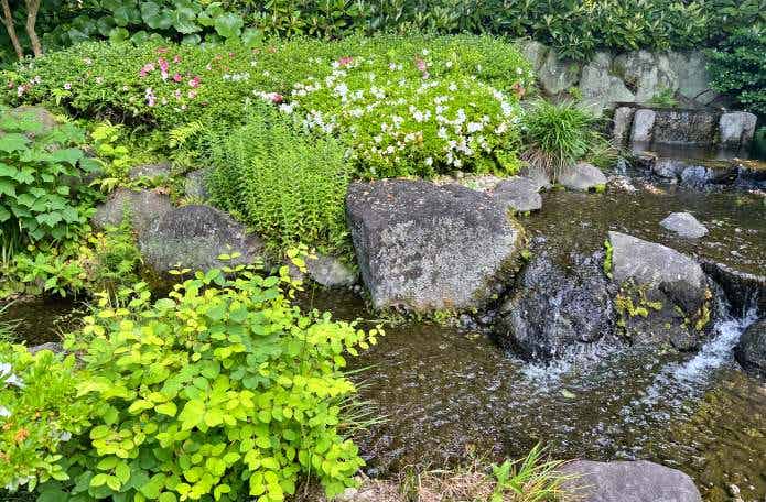 長谷寺の花々