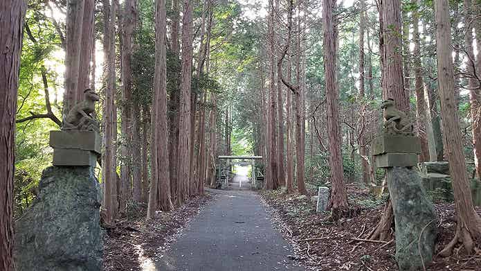並木林の山道