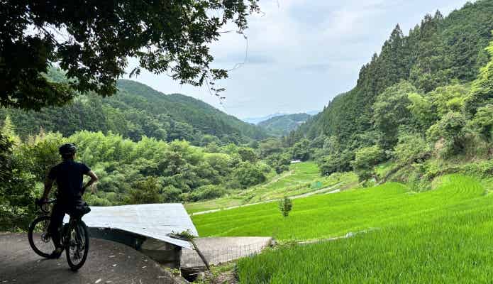 棚田とサイクリスト