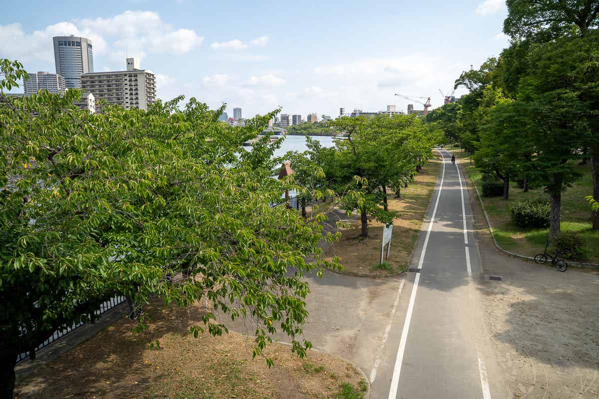 大川沿いの遊歩道