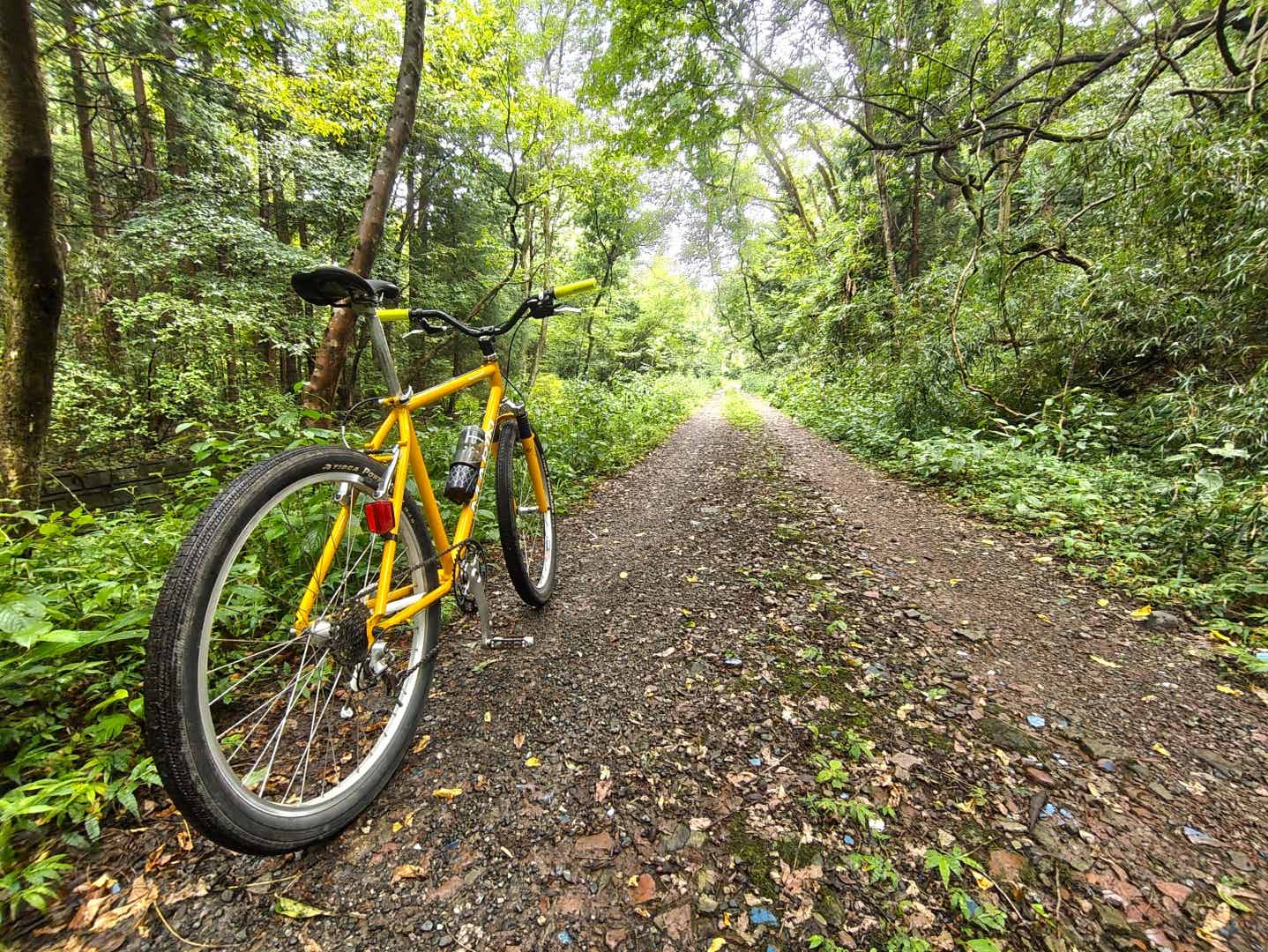 OLDMTBでの林道サイクリング