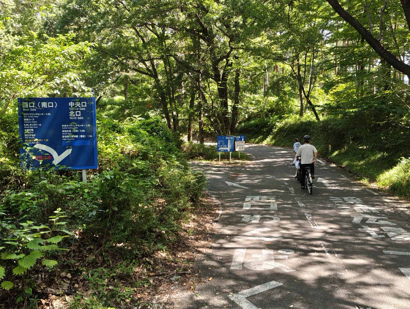 森林公園のサイクリングコースの分岐