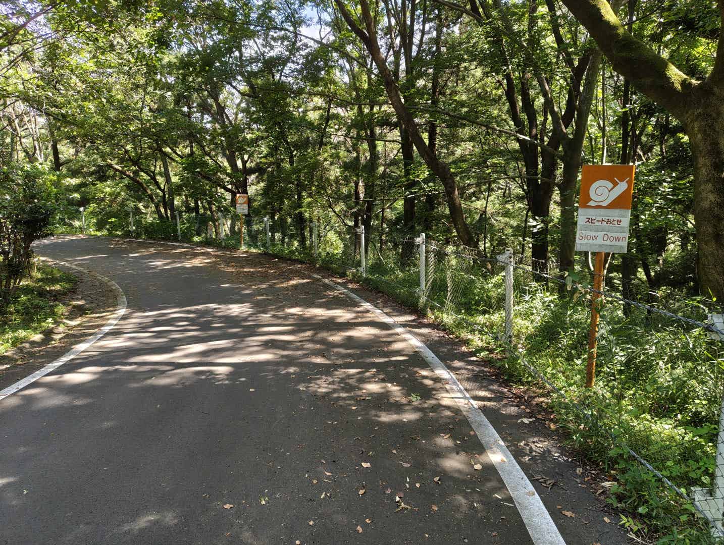 森林公園のサイクリングコースのスピード落とせの看板