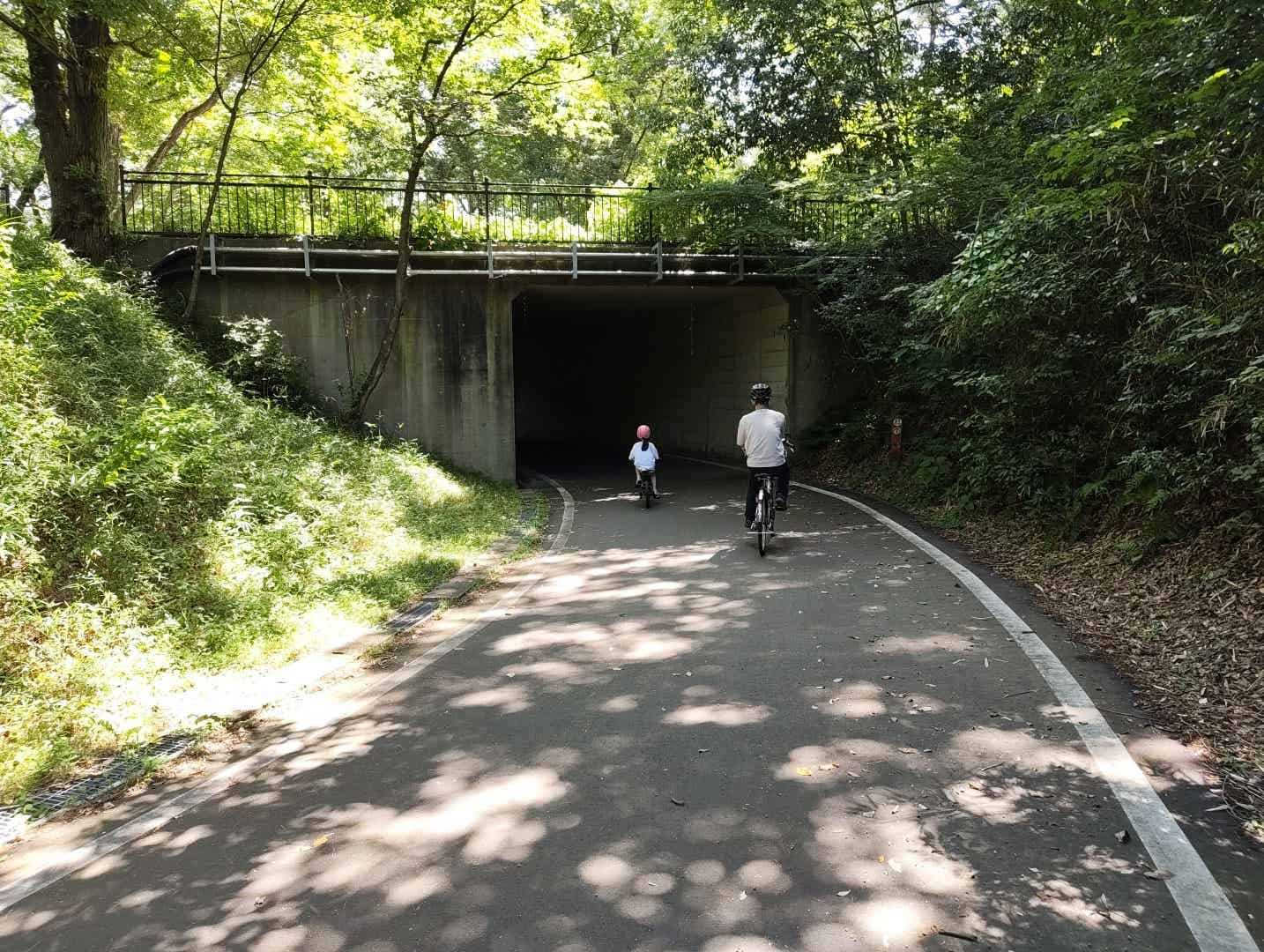 森林公園のサイクリングコースのトンネル