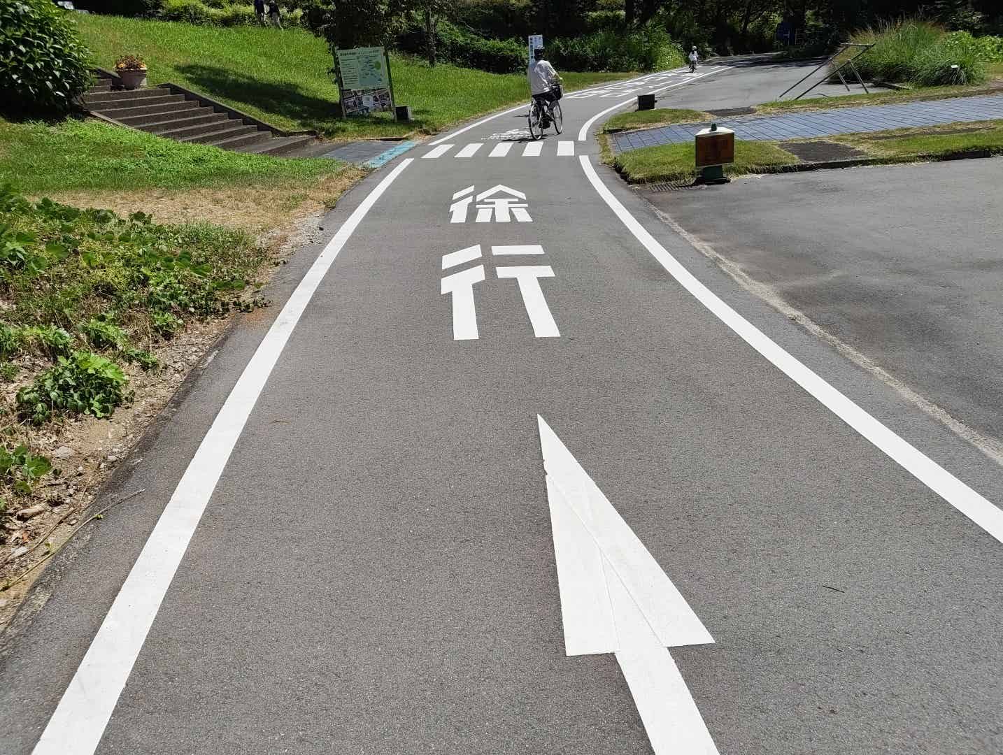 森林公園のサイクリングコースの横断歩道