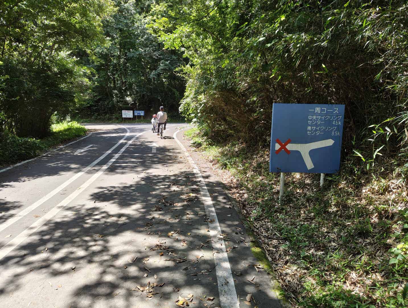 森林公園サイクリングコースの分岐