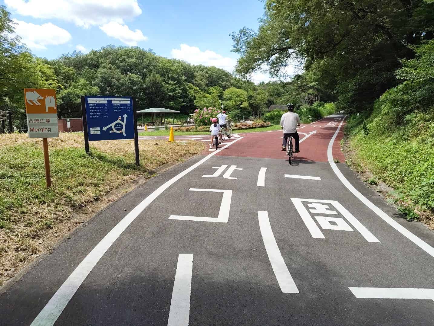 森林公園サイクリングコースの渓流広場前の分岐