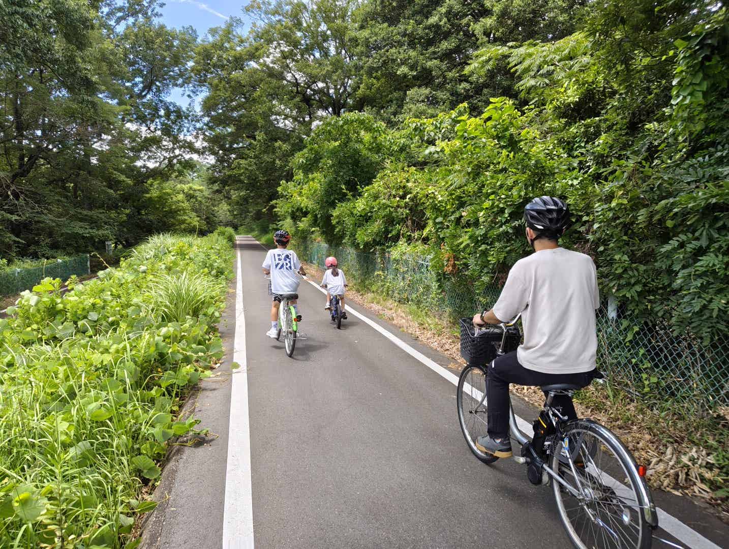 森林公園サイクリングコースの上り坂