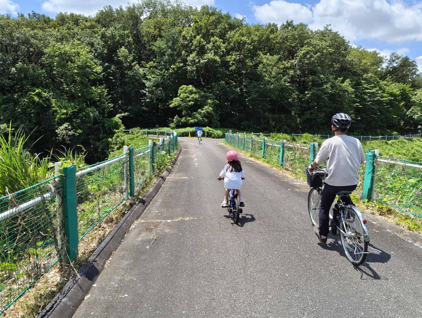森林公園サイクリングコースの日なた