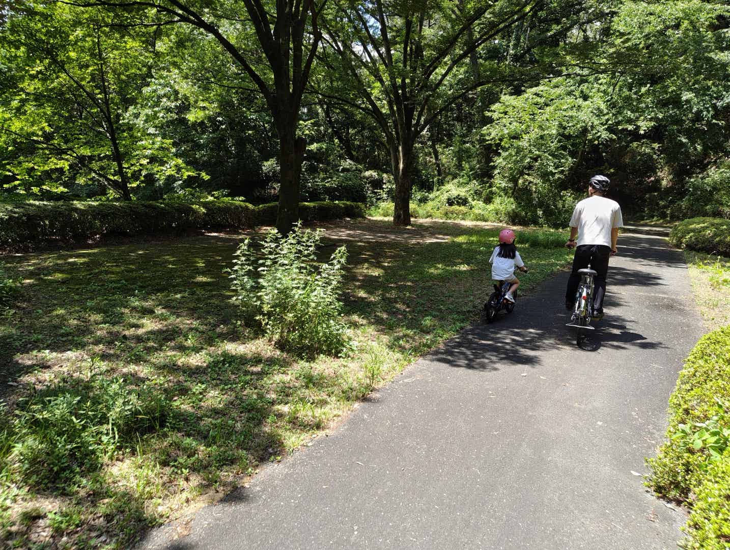森林公園サイクリングコースの駐輪場
