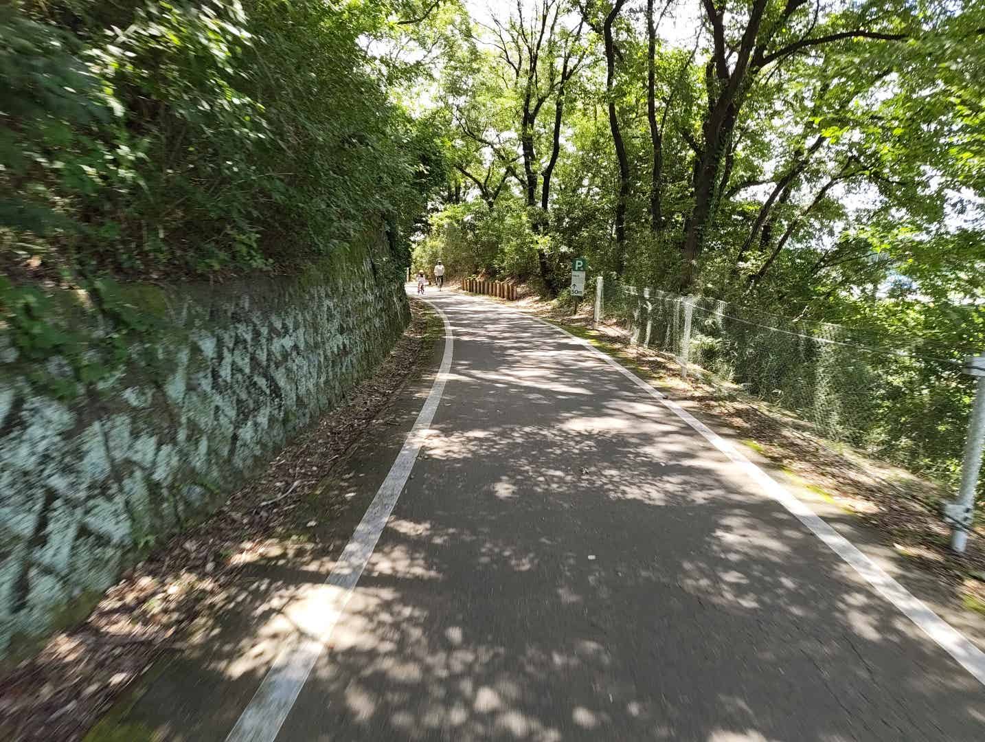 森林公園のサイクリングコース