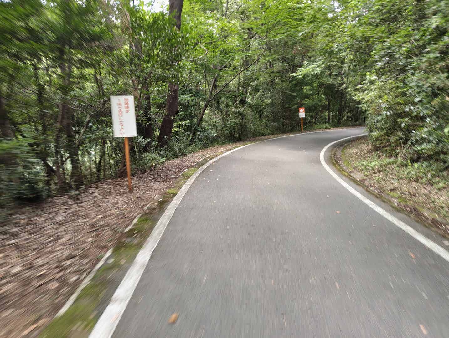 森林公園サイクリングコースの下り