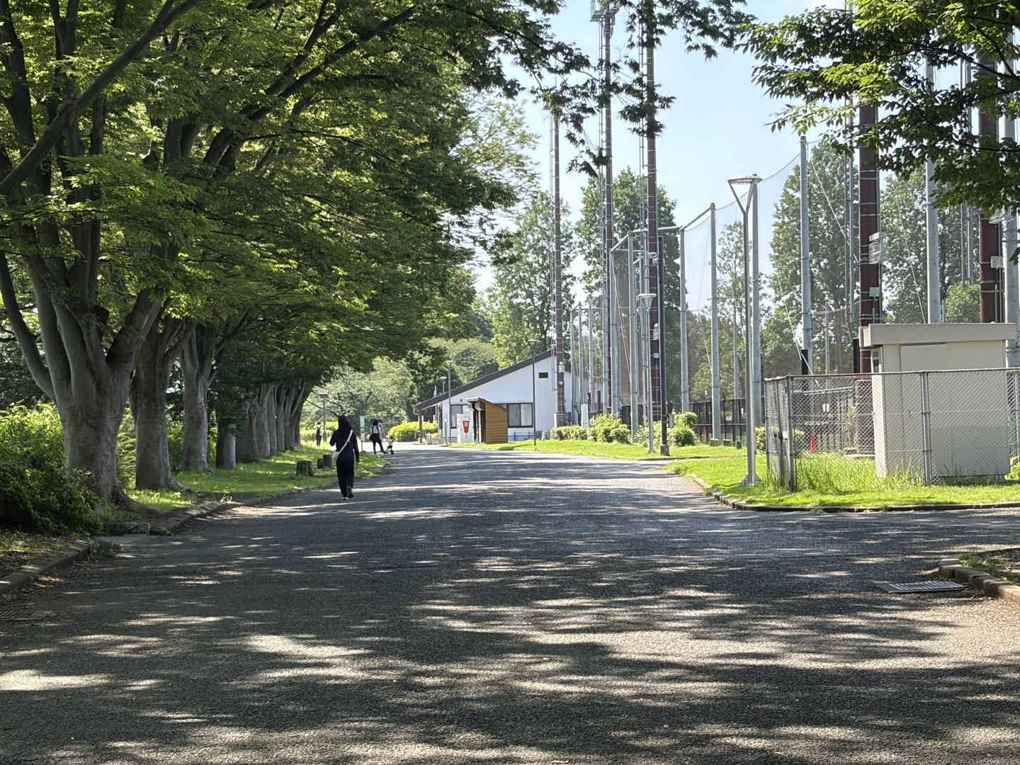 所沢航空記念公園のサッカーコート横の道
