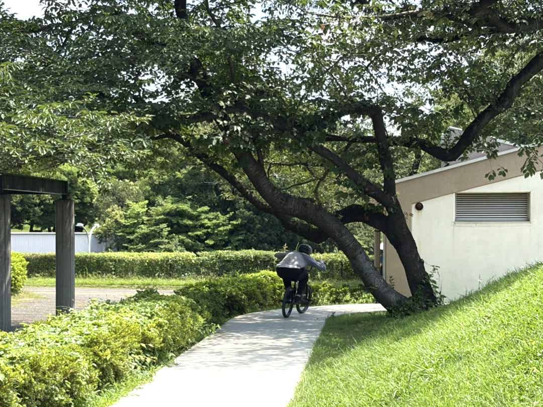 アーバンスポーツエリアの木をBMXでくぐる筆者