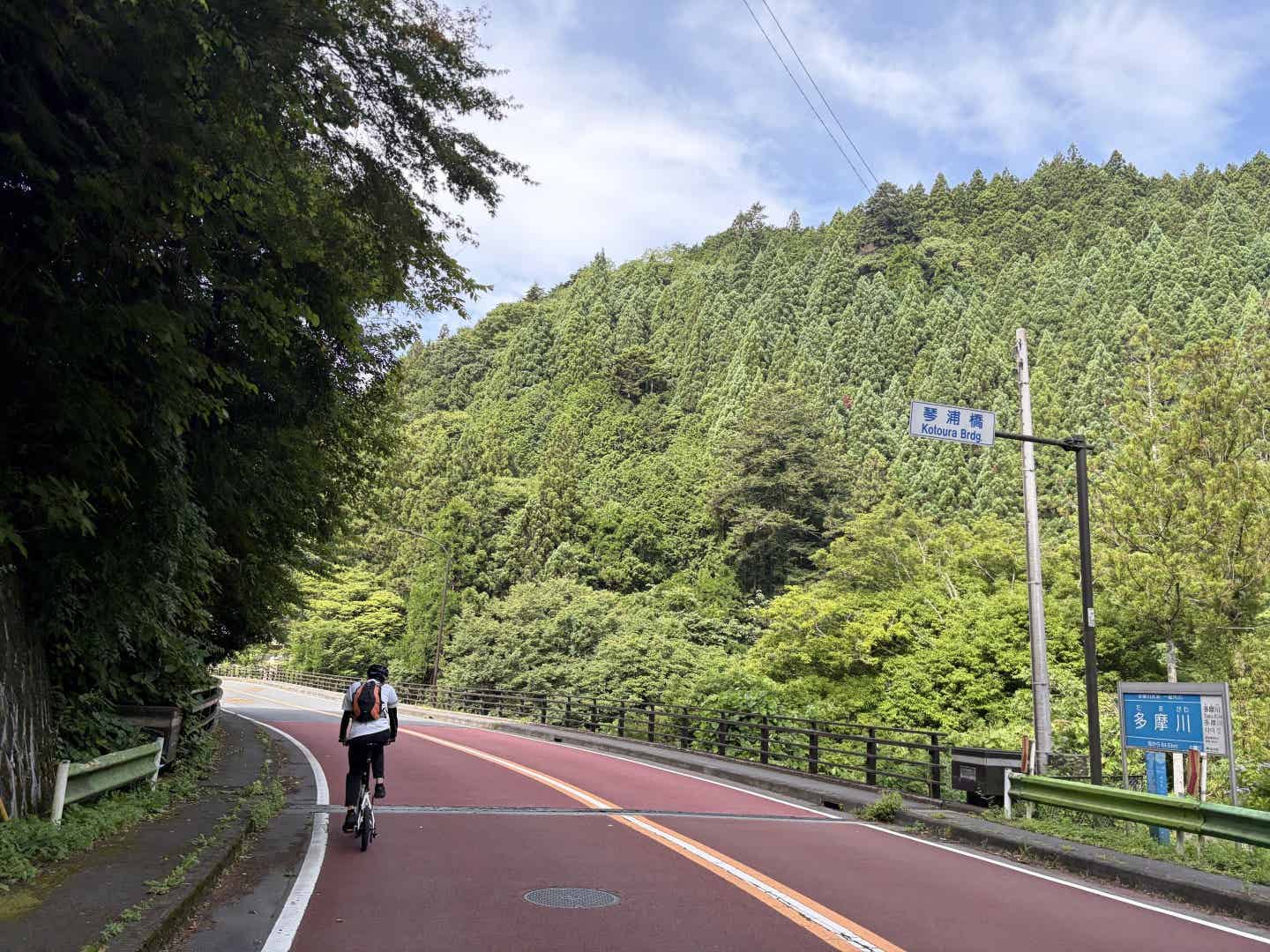 奥多摩湖への途中で琴浦橋を渡る筆者
