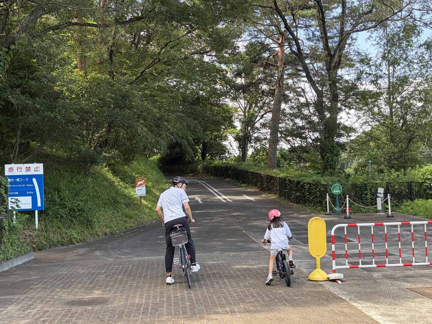 森林公園のサイクリングコースをスタート
