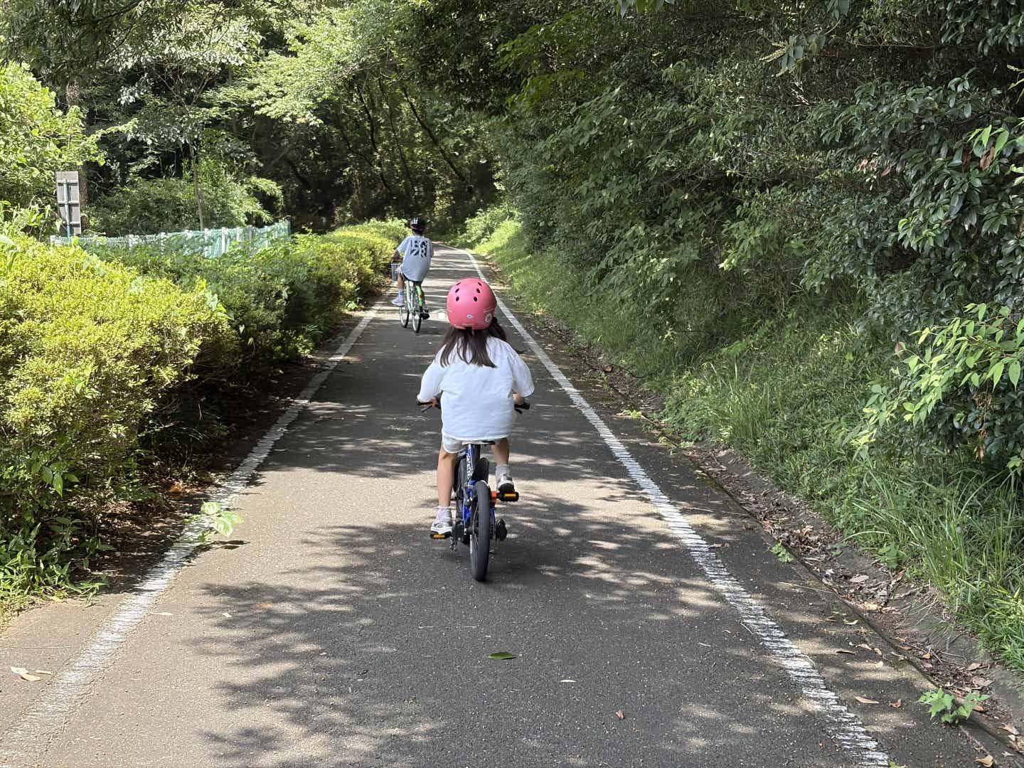森林公園サイクリングコースの下り坂を走る子ども