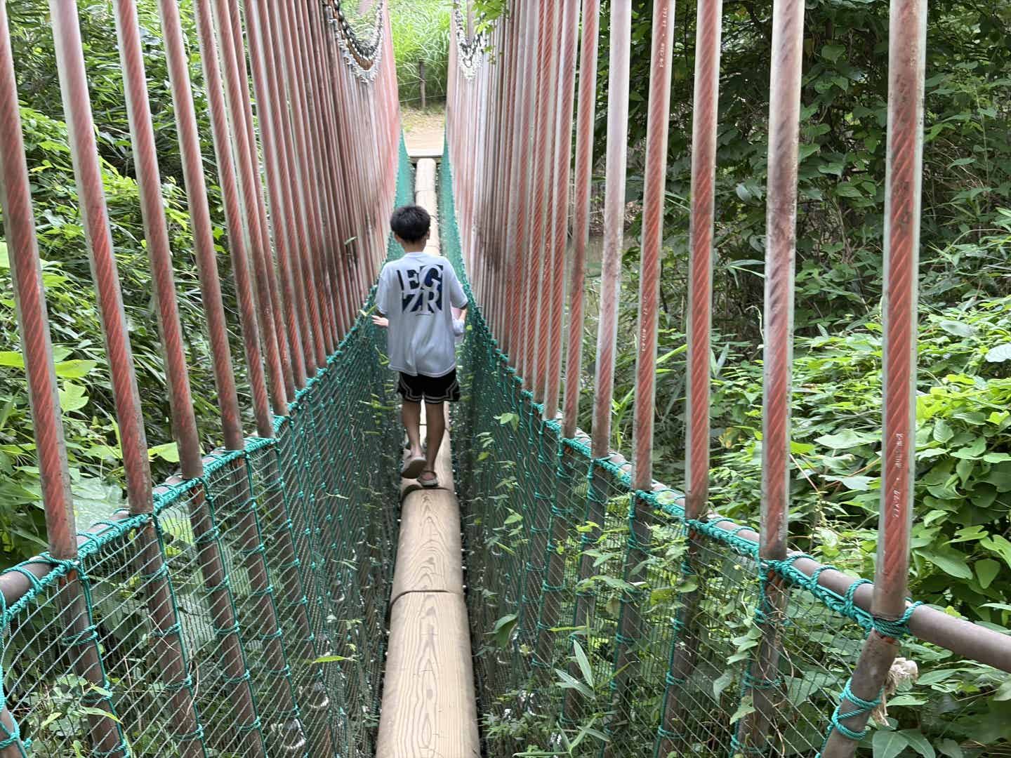 森林公園のつり橋