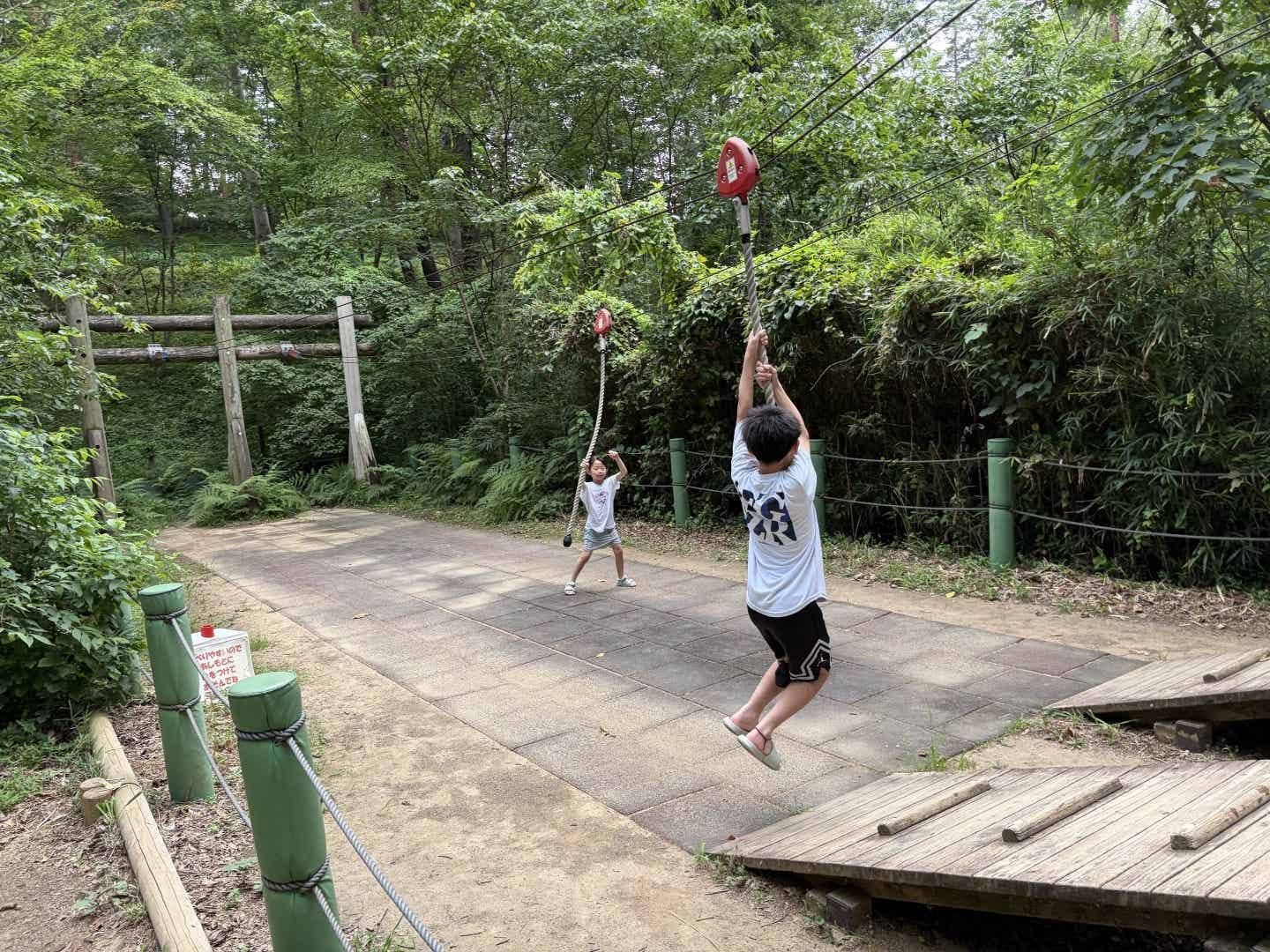 森林公園のアスレチック