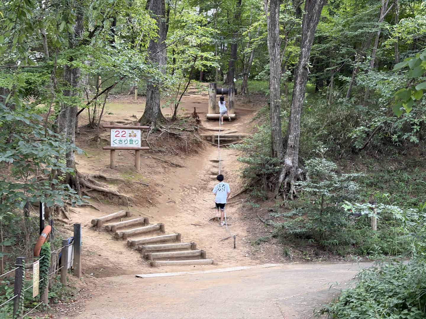 森林公園のアスレチック