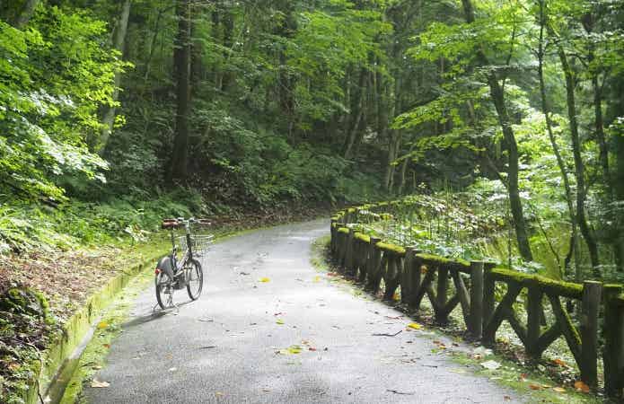 山の小道